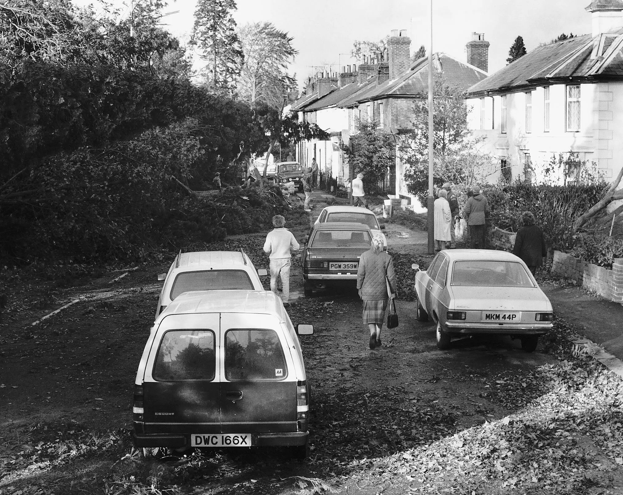 Британия і «Великий шторм» 1987 року: як одна помилка змінила науку прогнозів